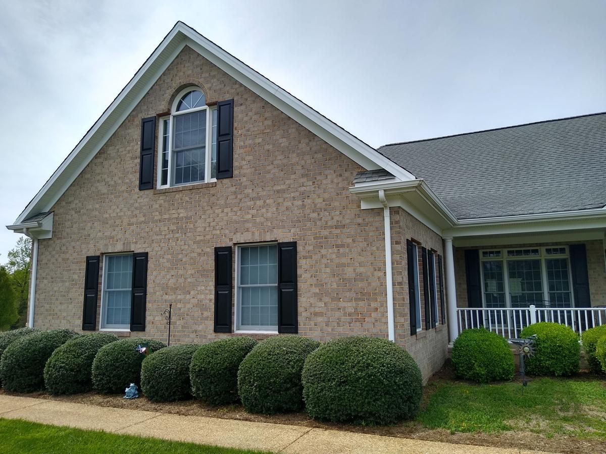 Mold and Algae Removal from Brick in Earlysville, VA